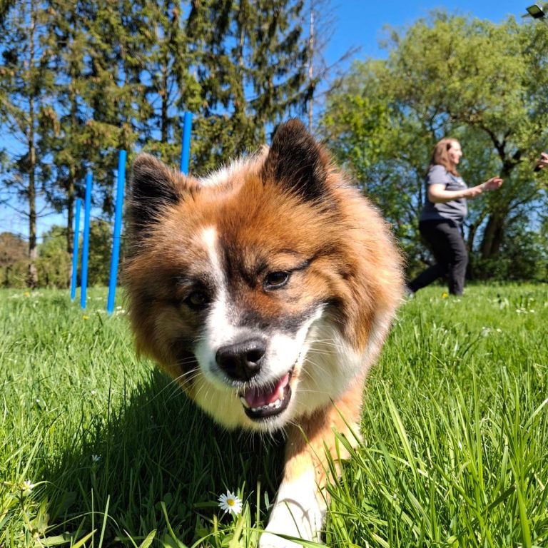 Einzeltraining